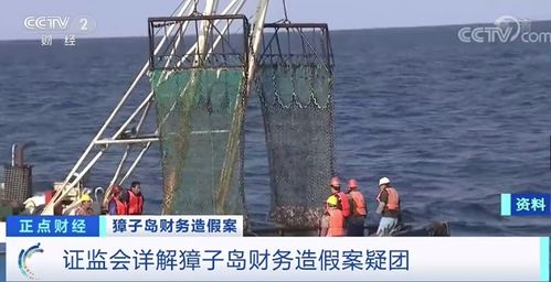 獐子島扇貝六年四逃之謎 北斗衛(wèi)星揭穿彌天大謊，畜牧漁業(yè)飼料警示錄