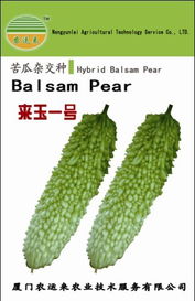 廈門農(nóng)運來農(nóng)業(yè)技術服務 農(nóng)作物種子與種苗產(chǎn)品列表——水果種植篇